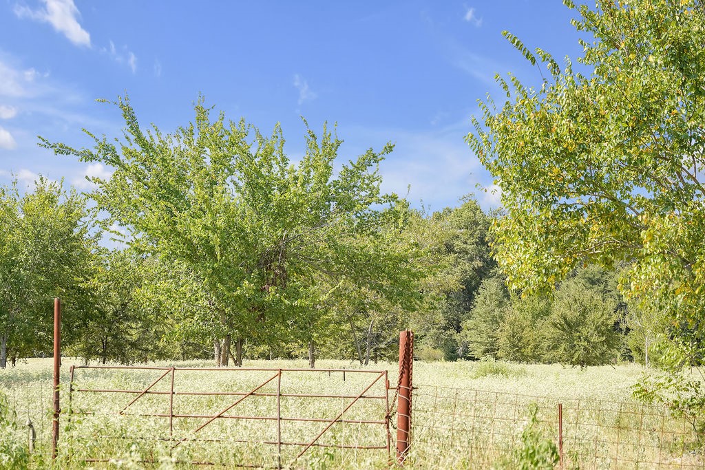 2675 County Road 1165 Brashear TX 75420