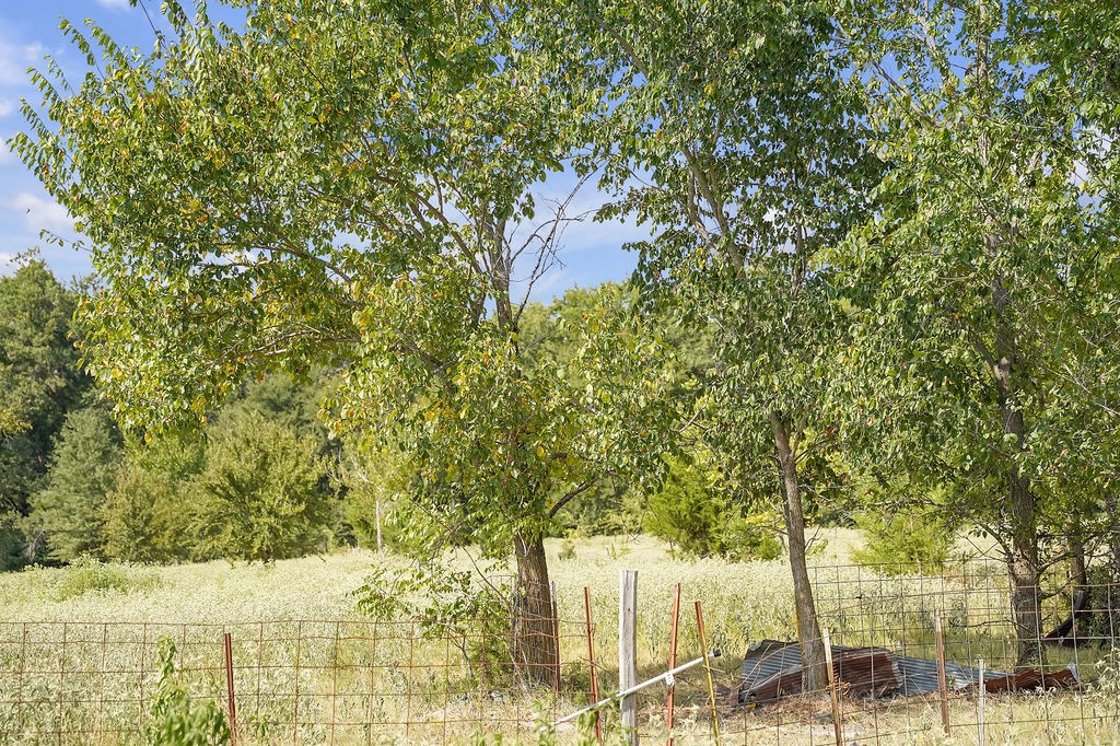 2675 County Road 1165 Brashear TX 75420