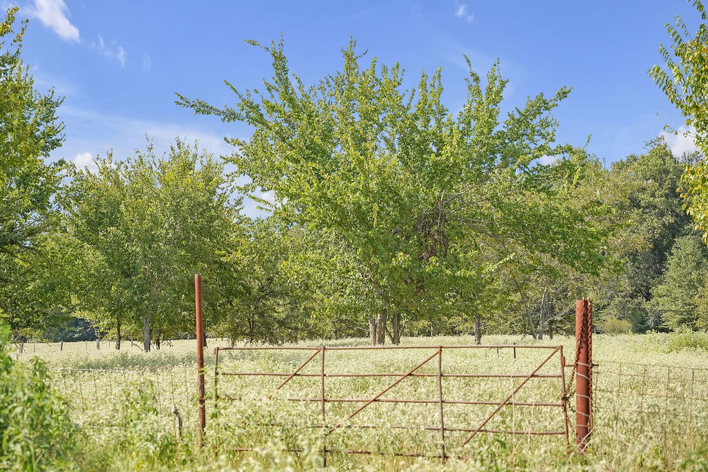 2675 County Road 1165 Brashear TX 75420