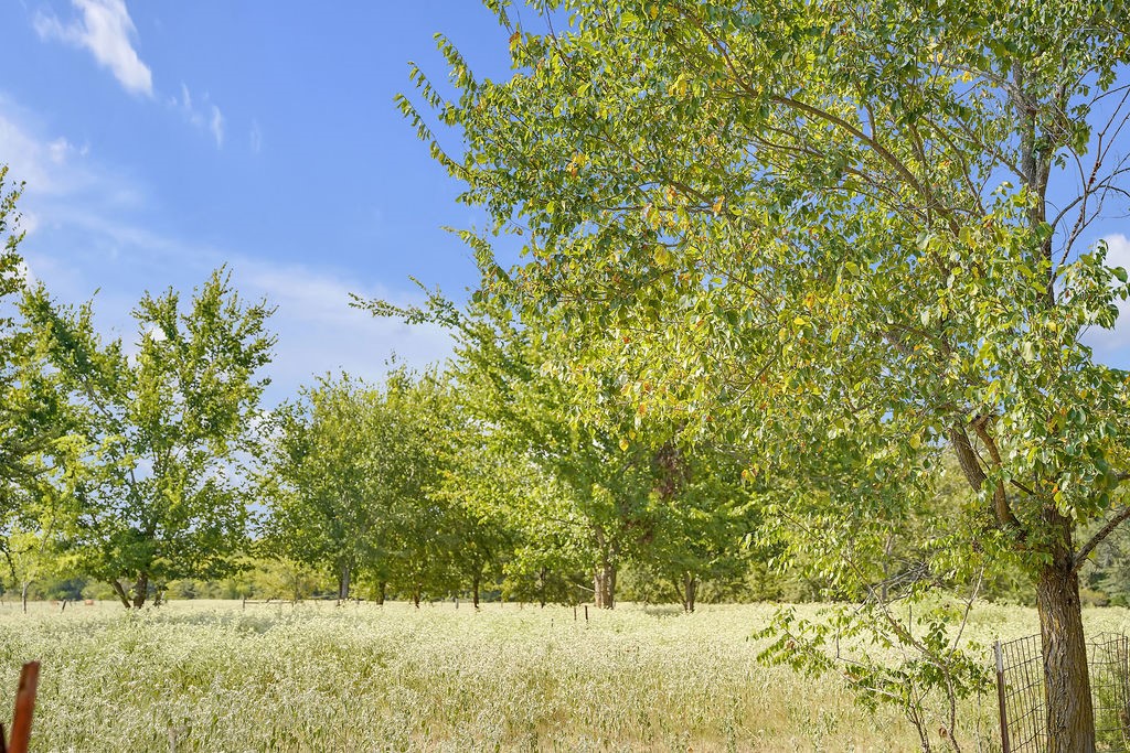2675 County Road 1165 Brashear TX 75420