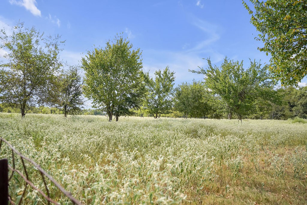 2675 County Road 1165 Brashear TX 75420