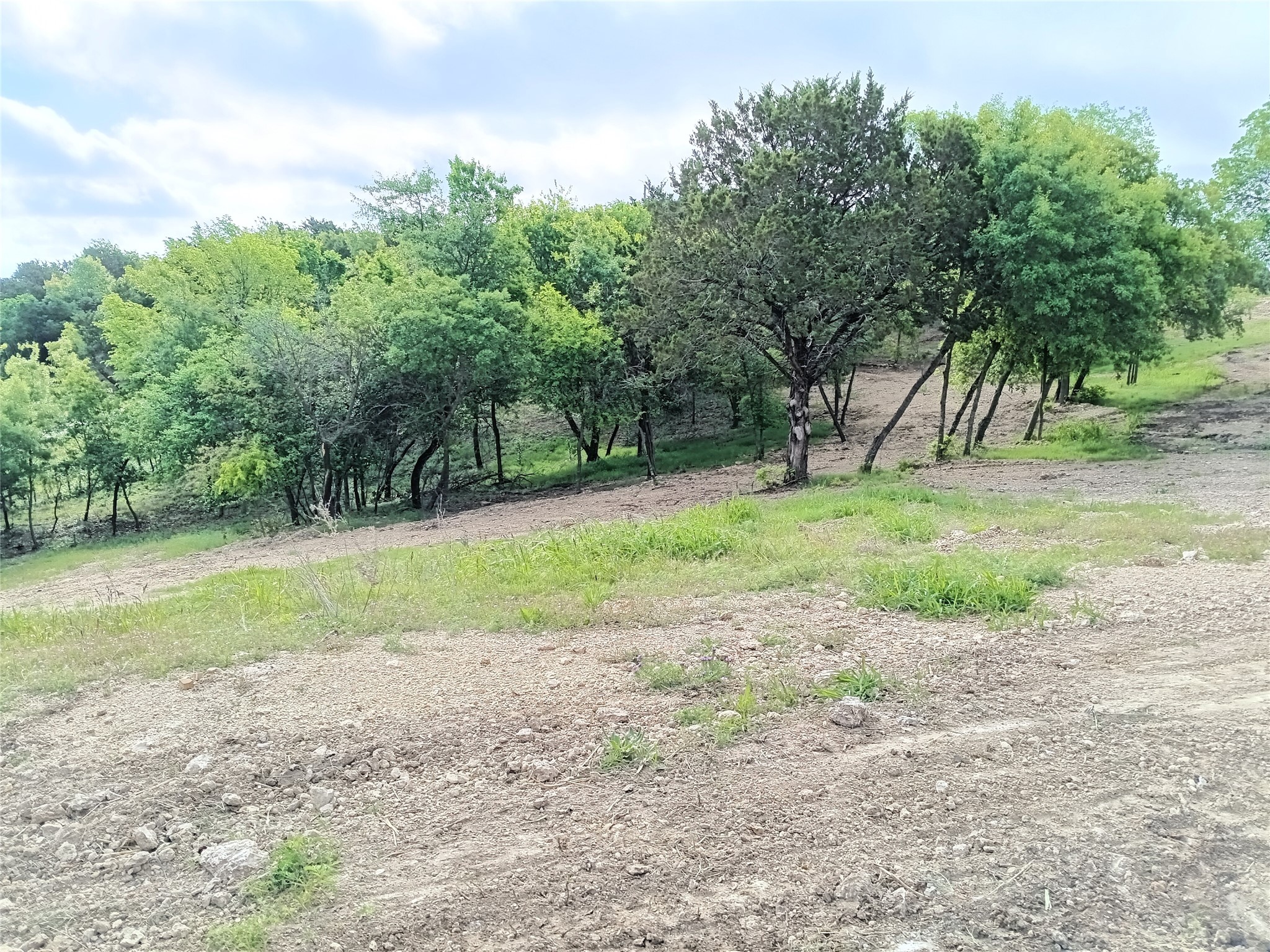 700 Woodhaven Drive Springtown TX 76082