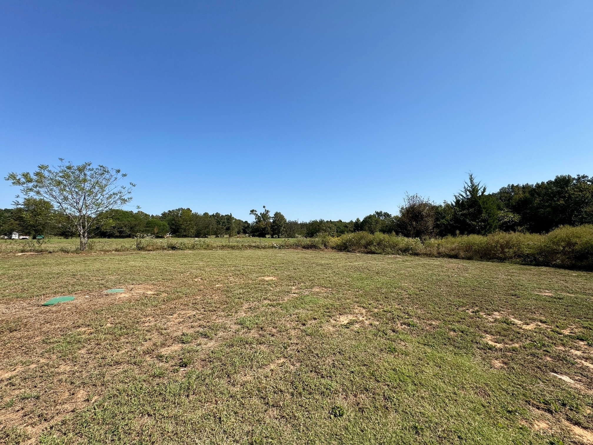 39 Cr 1206 Daingerfield TX 75638