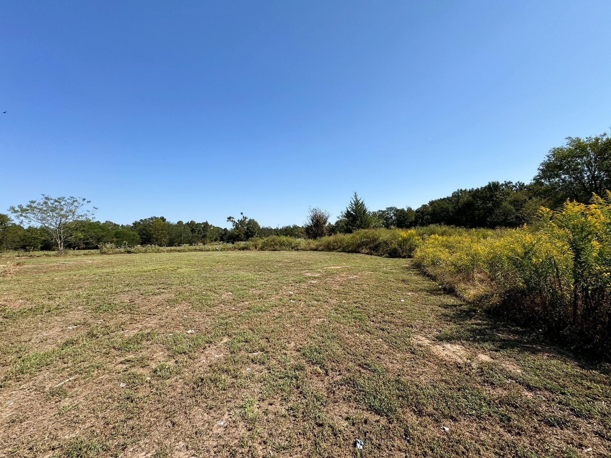 39 Cr 1206 Daingerfield TX 75638