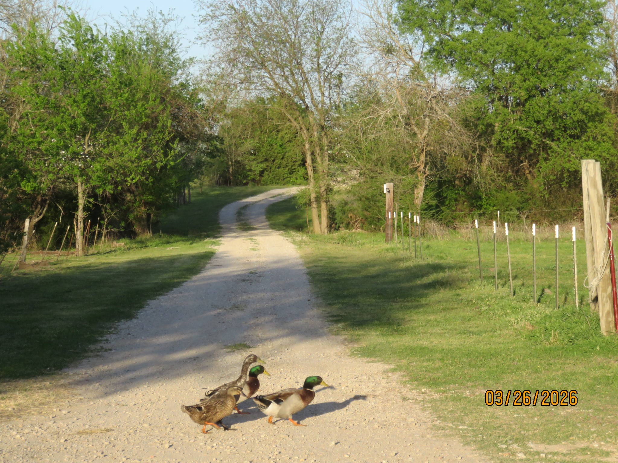 1780 County Road 4109 Campbell TX 75422