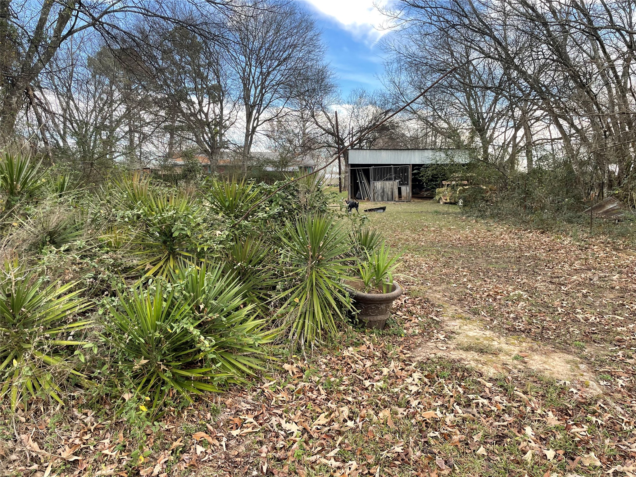 5615 Vz County Road 1222 Grand Saline TX 75140