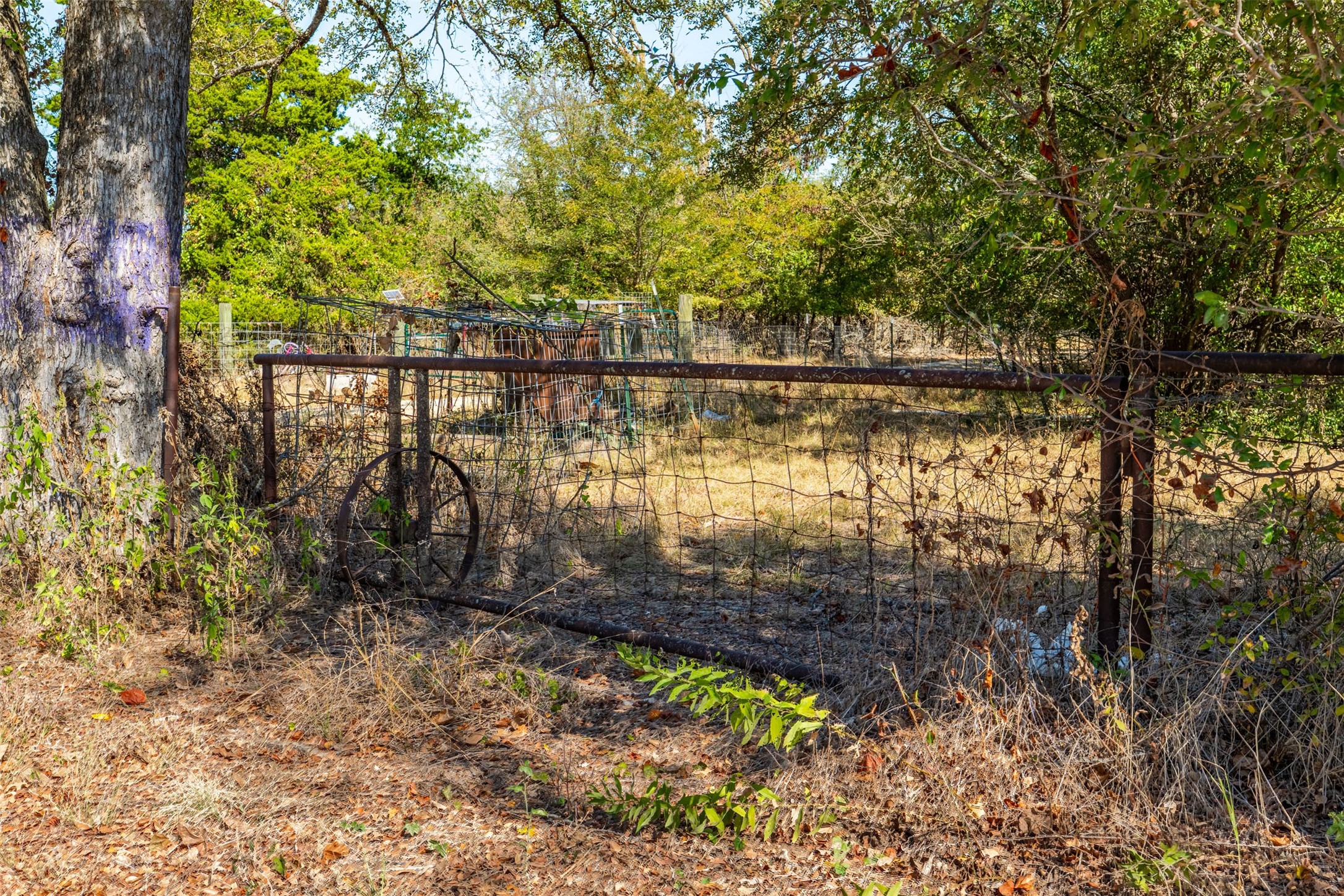 2308 County Road 801c Road Cleburne TX 76031