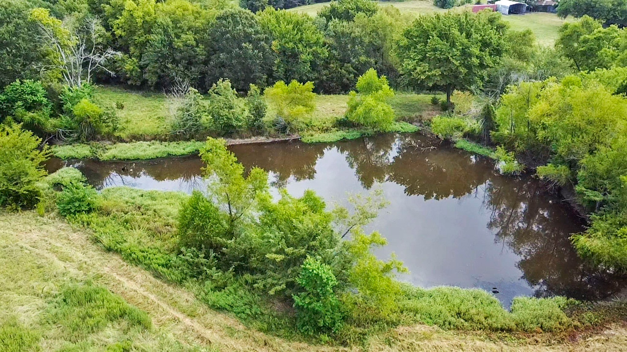 4990 Fm 17 Grand Saline TX 75140