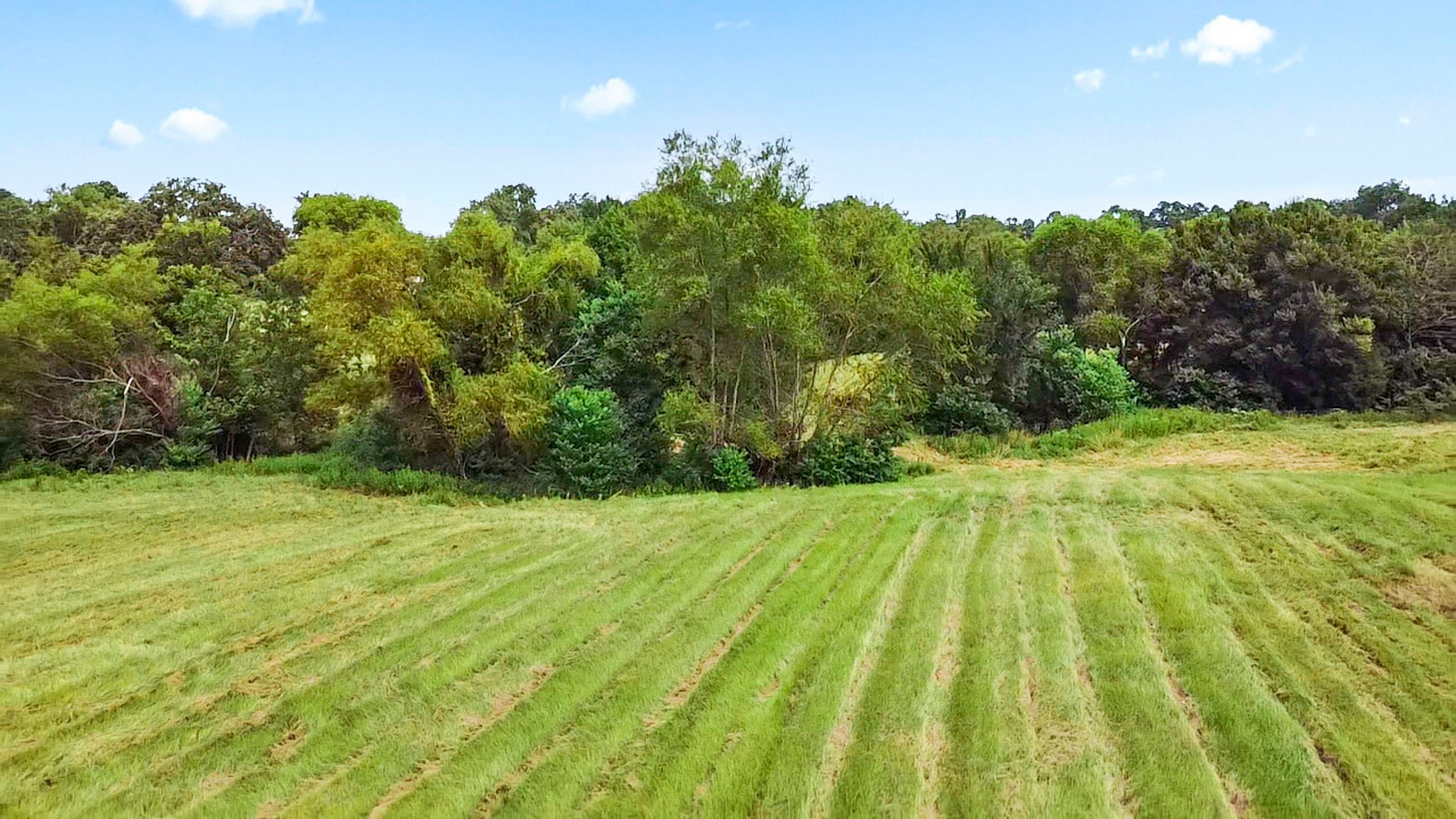 4990 Fm 17 Grand Saline TX 75140