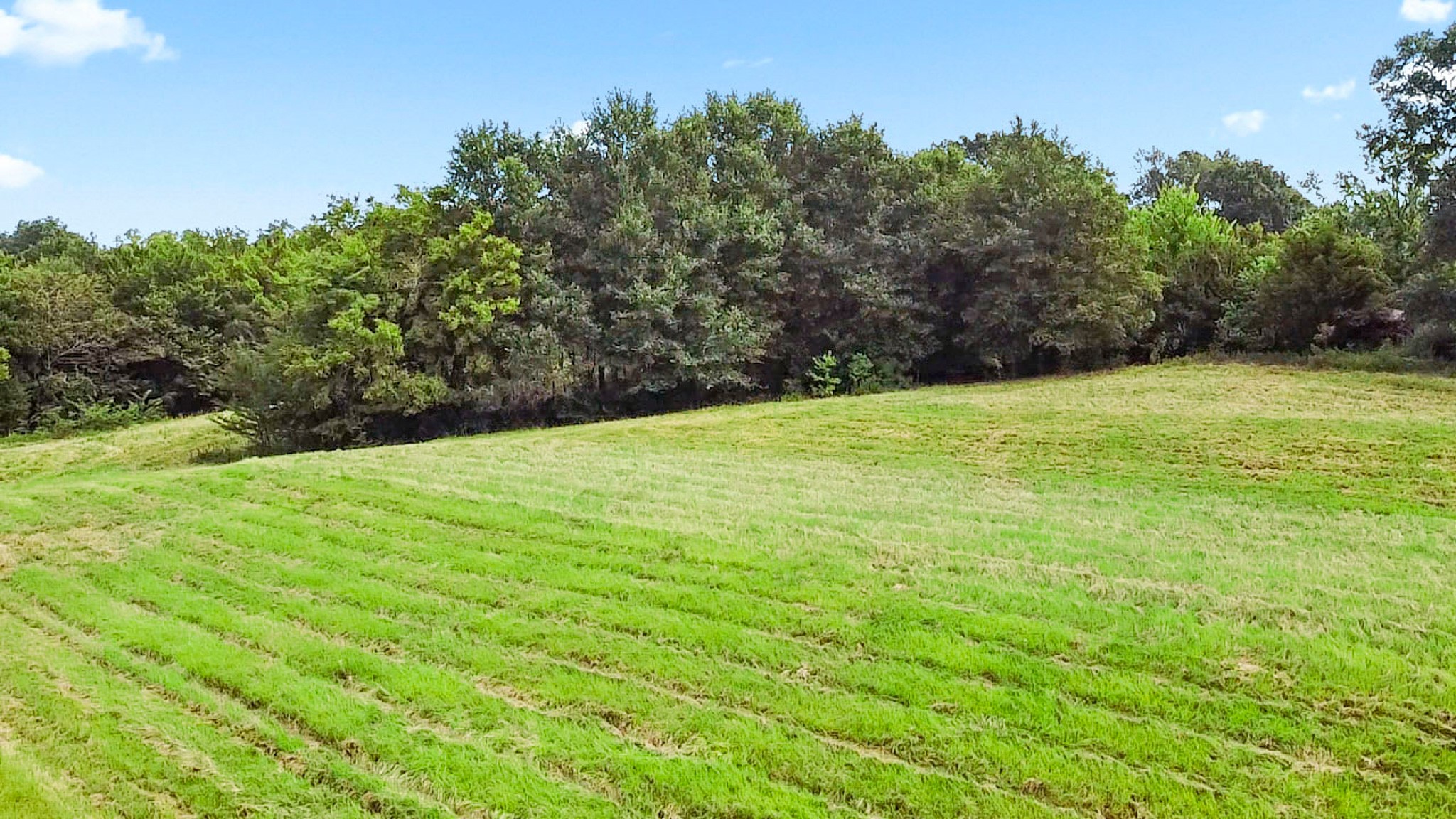 4990 Fm 17 Grand Saline TX 75140