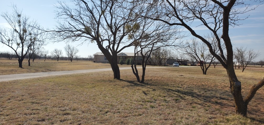 20326 County Road 304 Abilene TX 79601