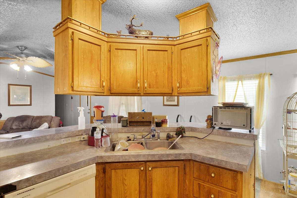 1114 Alicia Ann Drive Wylie TX 75098