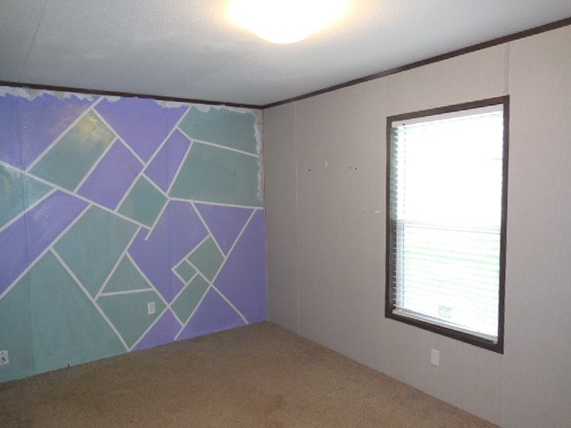 408 Bistineau Lake Road Ringgold LA 71068