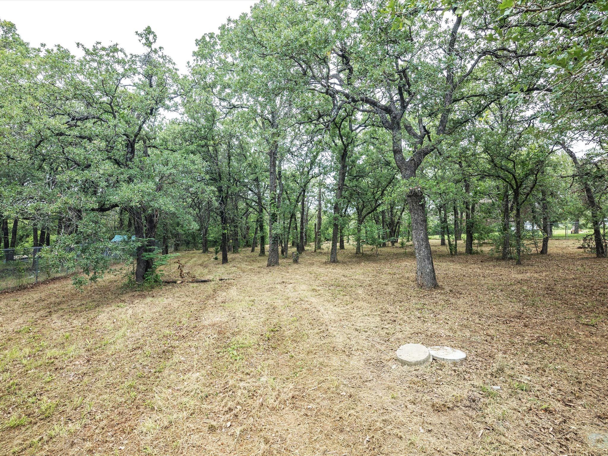 146 Deerwood Lane Springtown TX 76082