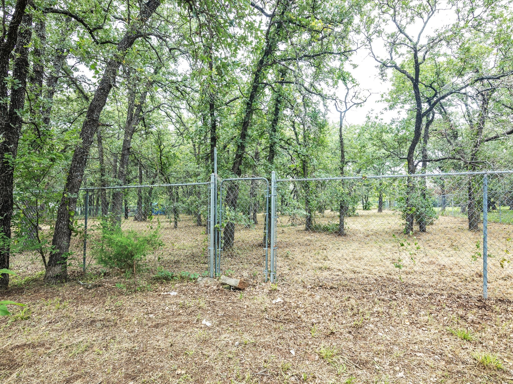 146 Deerwood Lane Springtown TX 76082