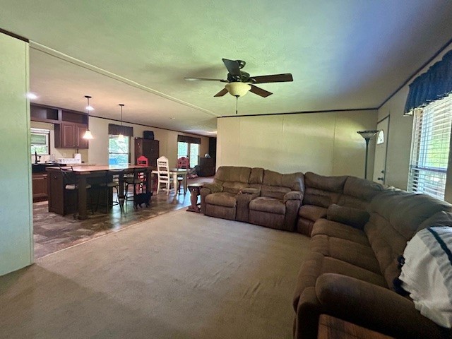 817 S 7th Avenue Teague TX 75860