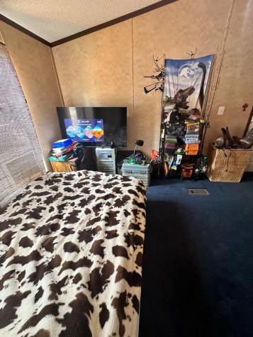 9937 County Road 3250 Timpson TX 75975