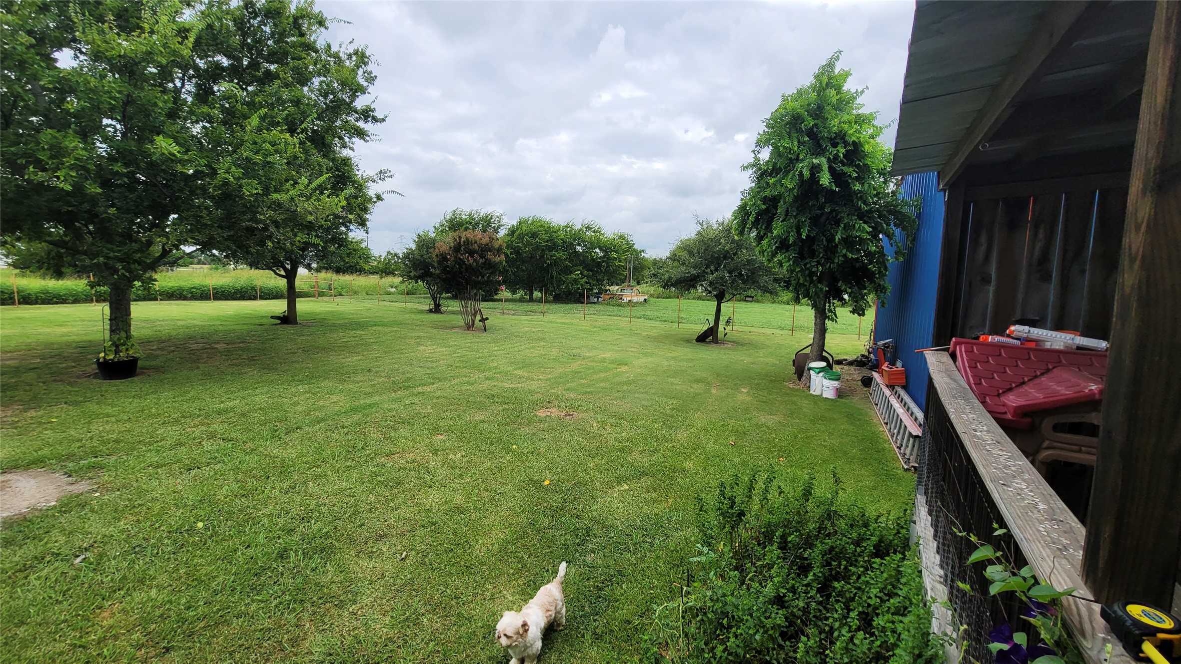 104 Mimosa Way Venus TX 76084
