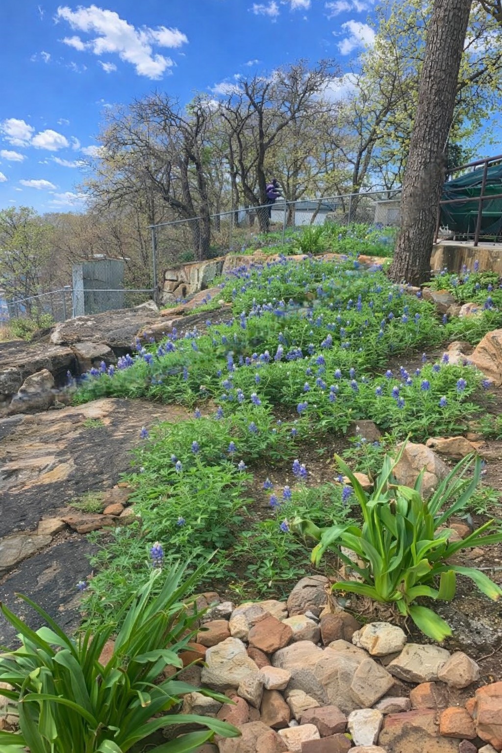 302 Kennon Circle Palo Pinto TX 76484