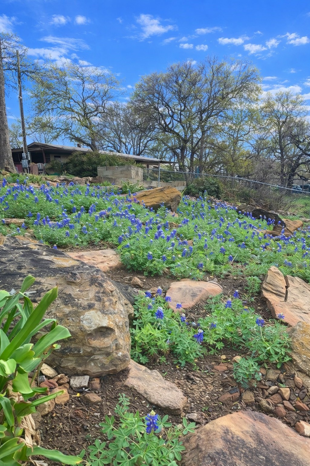302 Kennon Circle Palo Pinto TX 76484