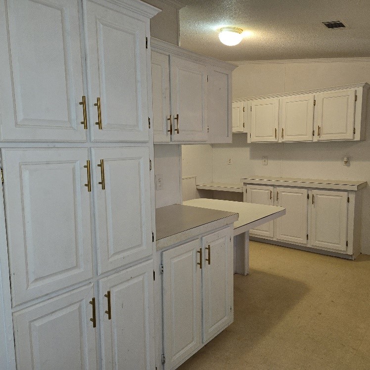 219 Wildflower Drive Gun Barrel City TX 75156