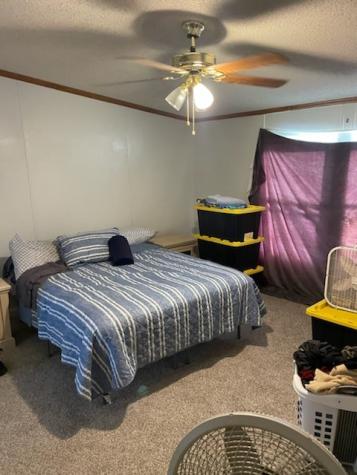 1001 Elizabeth Coleman TX 76834