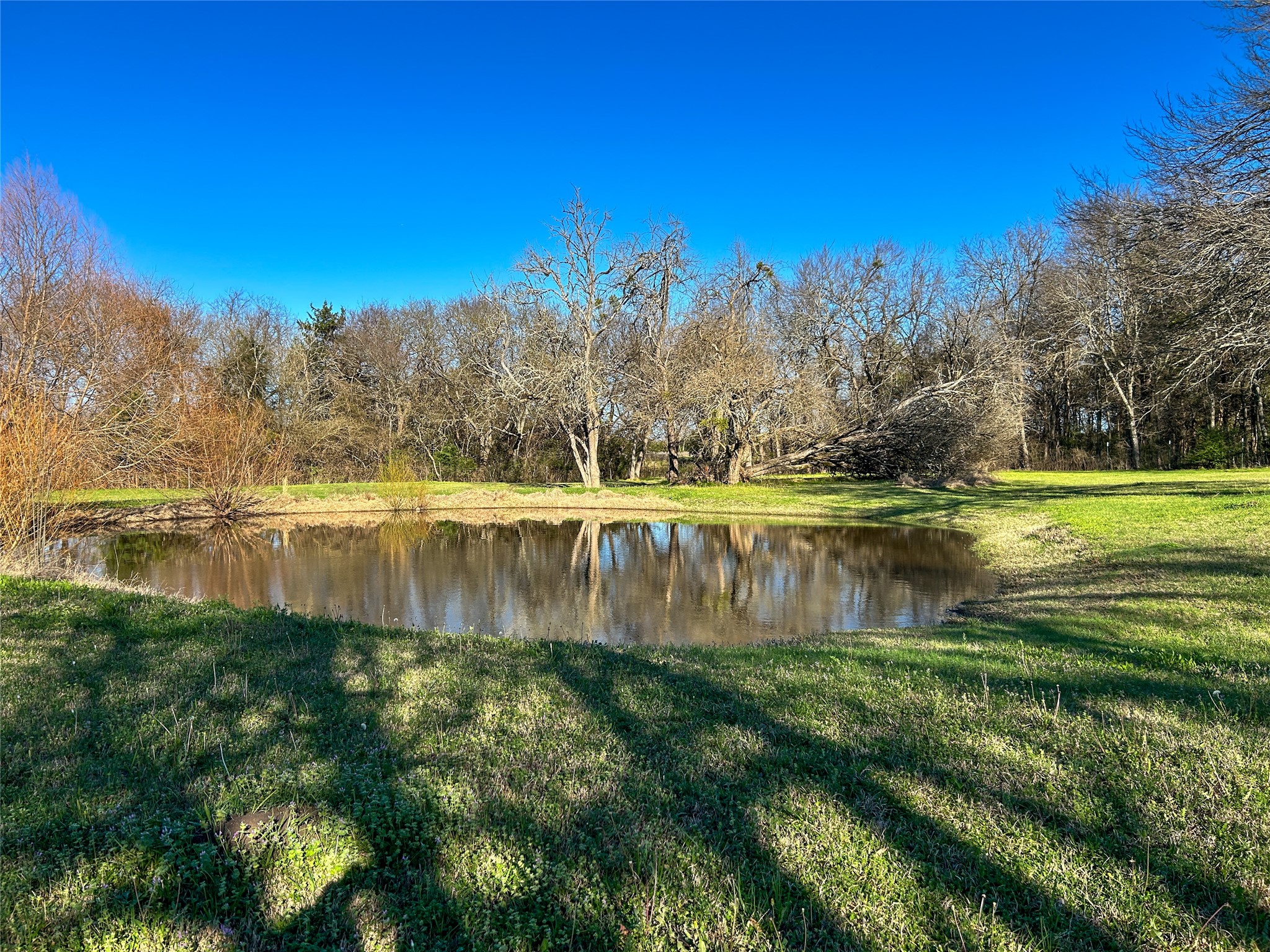 4076 County Road 1088 Celeste TX 75423