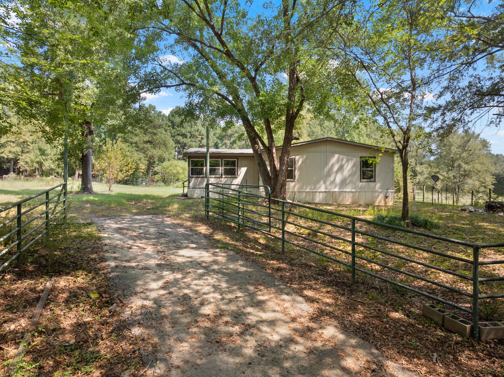 3926 Pignut Road Gilmer TX 75644