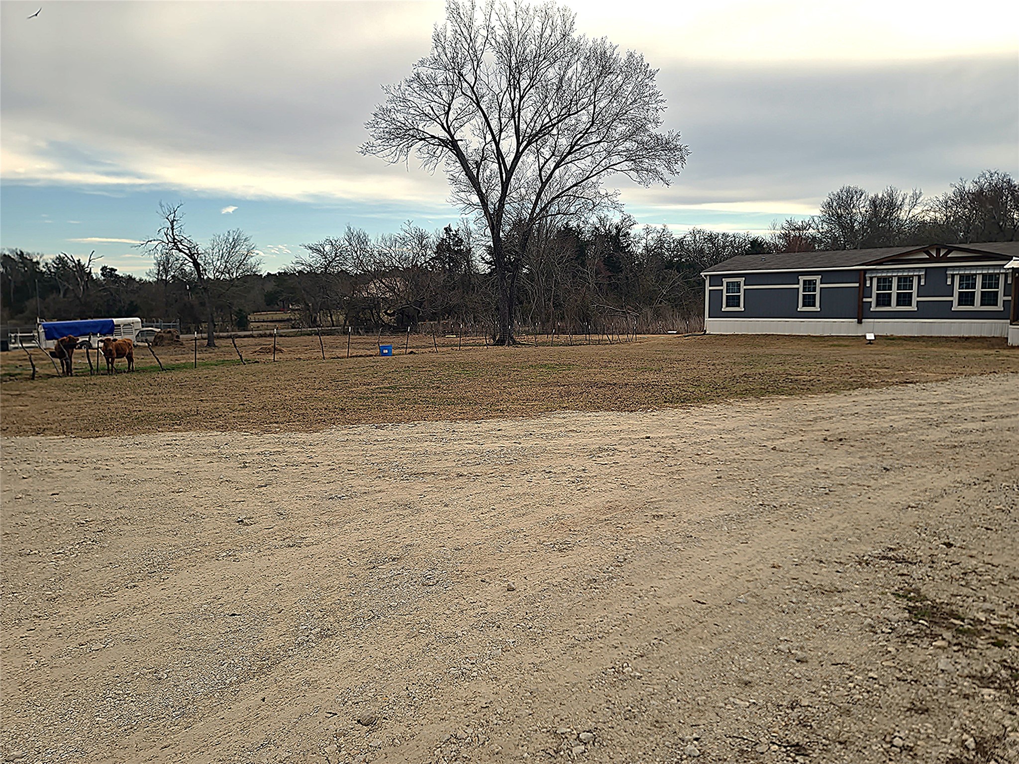 376 State Highway 179 Highway Teague TX 75860