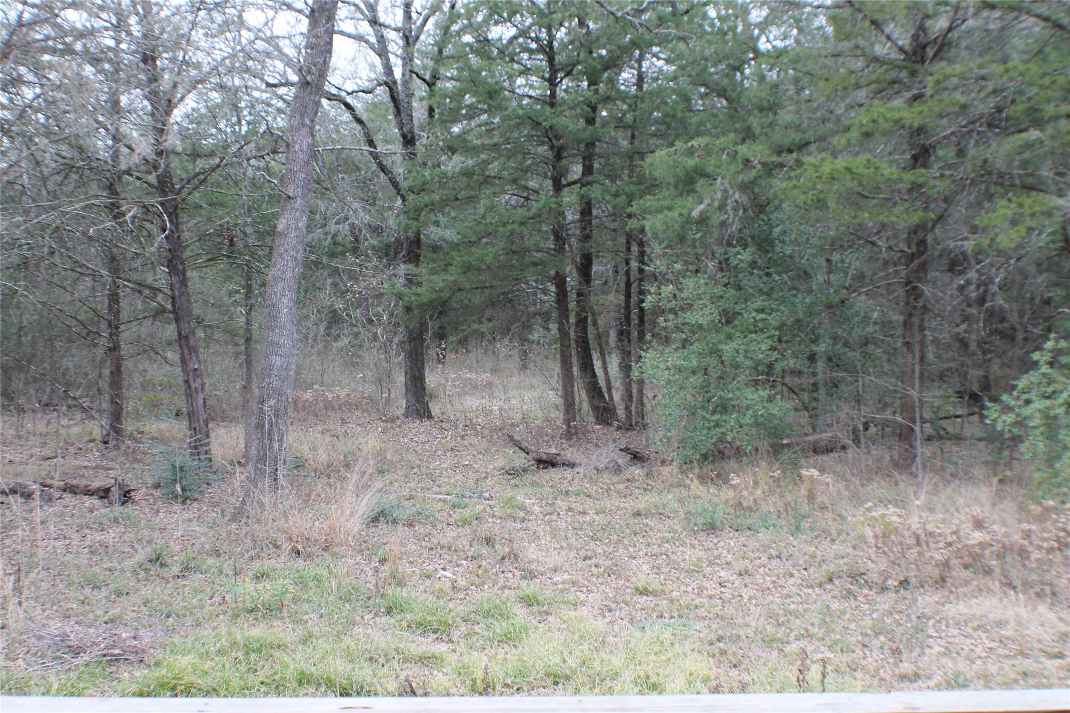 9603 County Road 2404 Kemp TX 75143