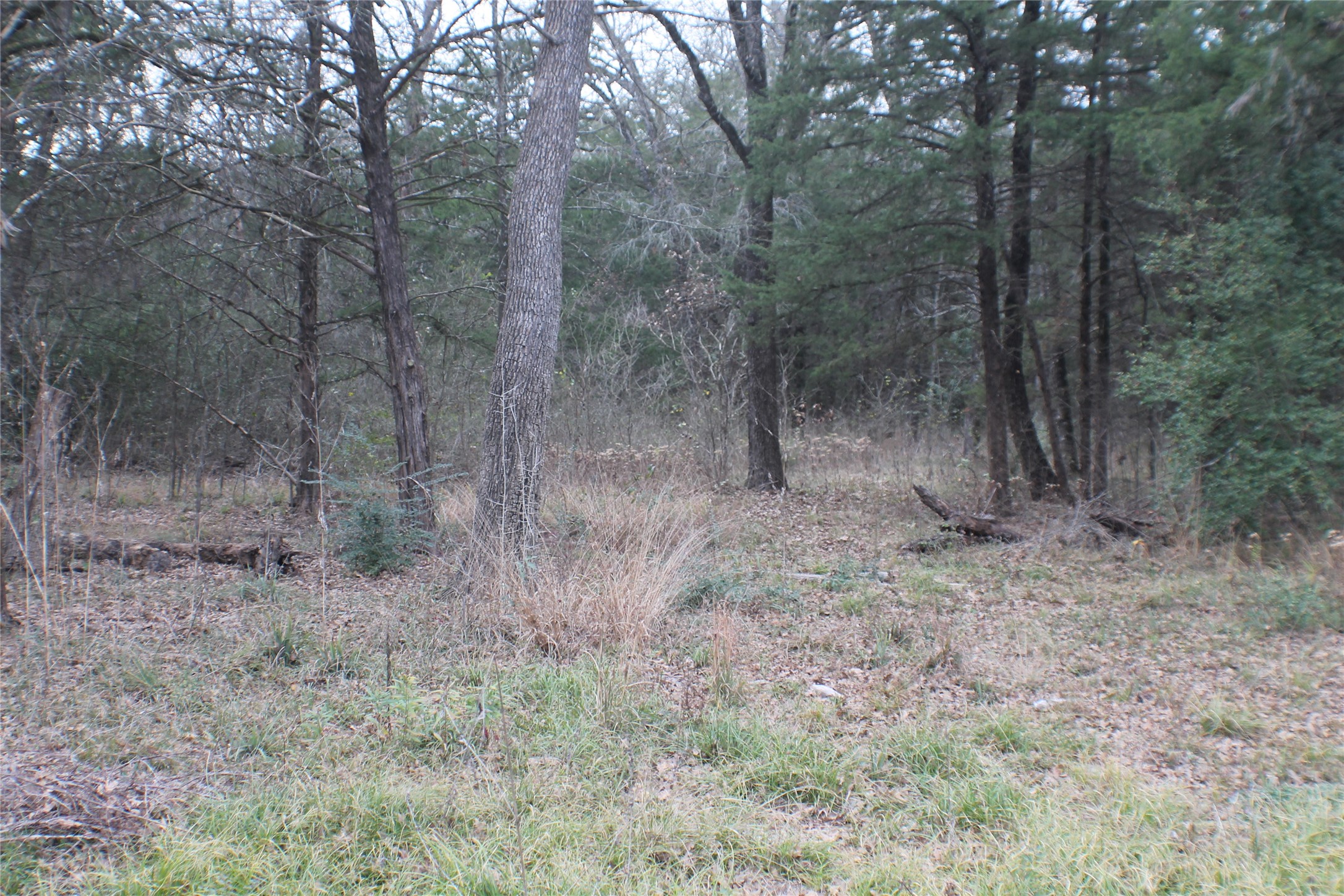 9603 County Road 2404 Kemp TX 75143