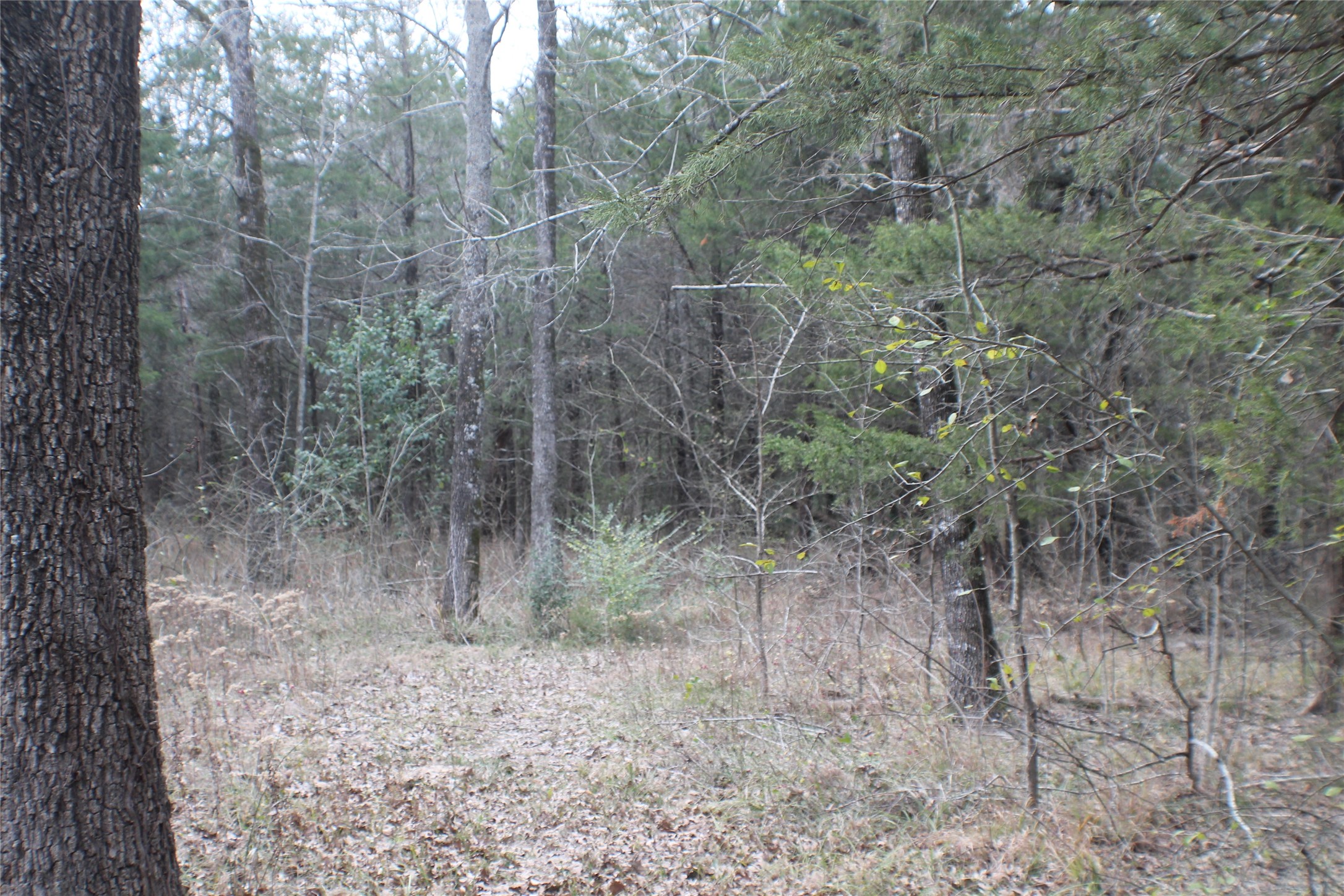 9603 County Road 2404 Kemp TX 75143