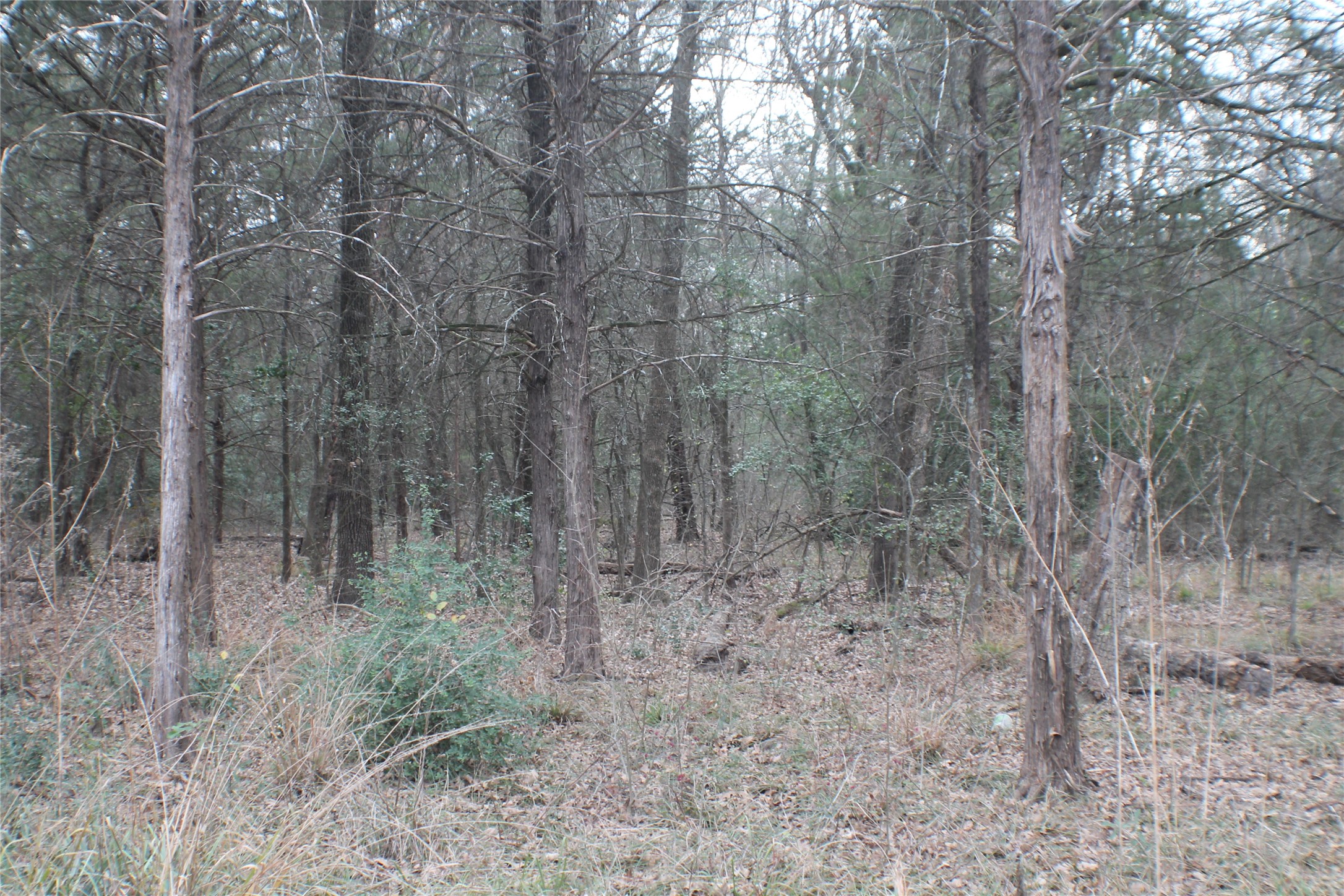 9603 County Road 2404 Kemp TX 75143