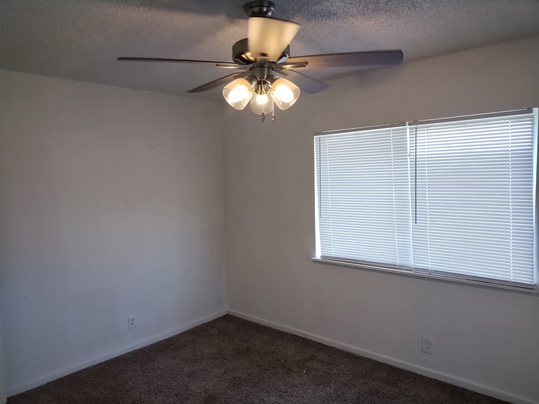 1004 N Ballard Street Brownfield TX 79316