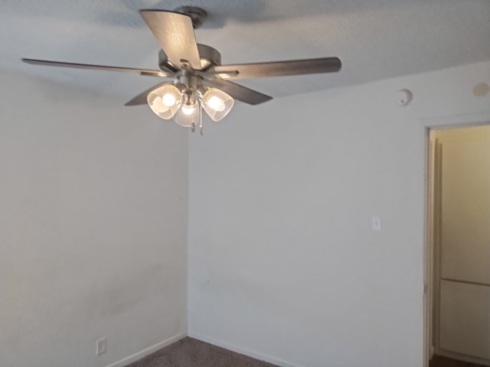 1004 N Ballard Street Brownfield TX 79316