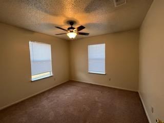 304 Mcbride Street Lone Oak TX 75453