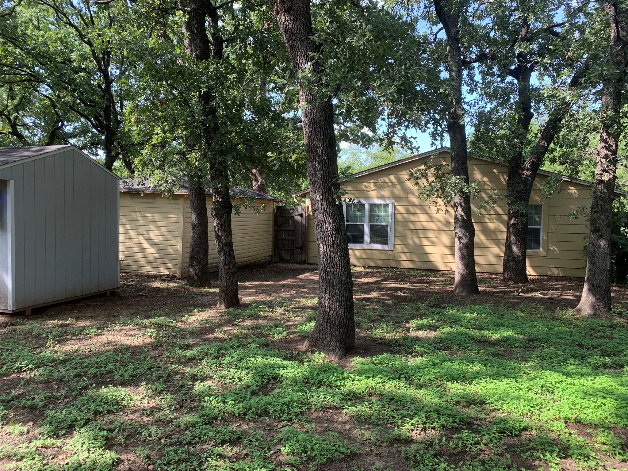 1303 Fannin Street Denton TX 76201