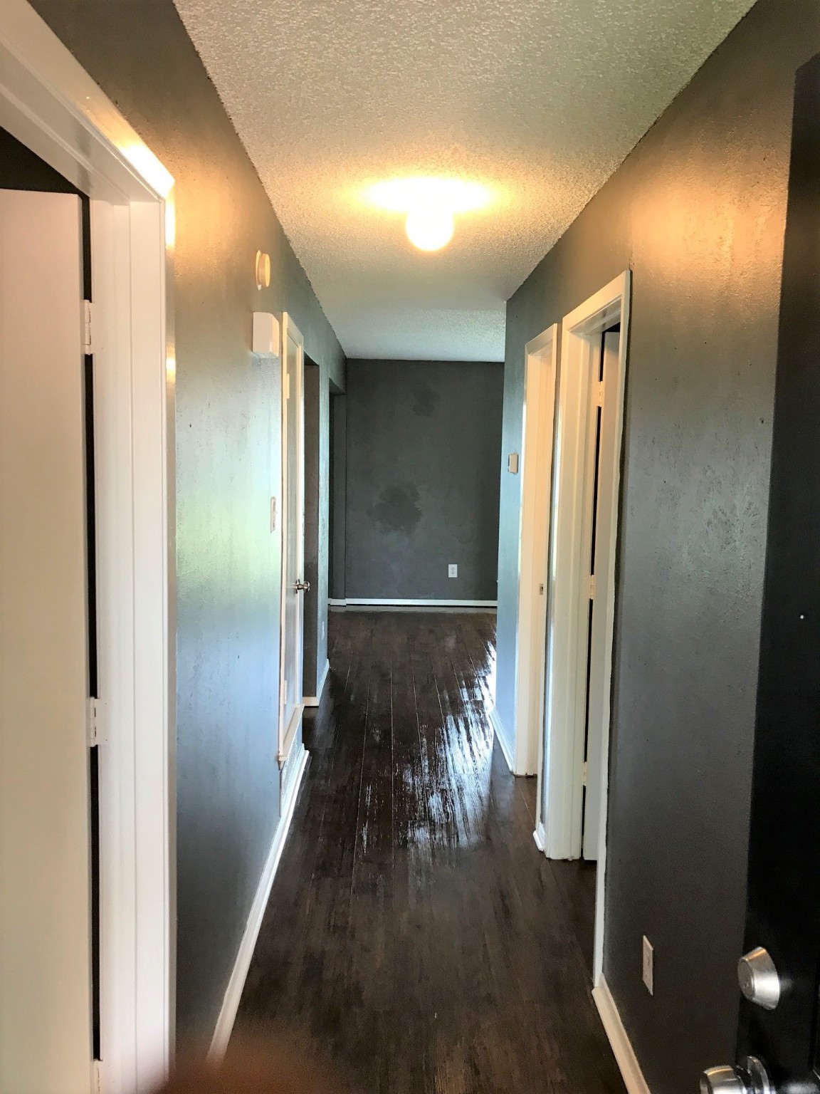 4023 William Street Sachse TX 75048