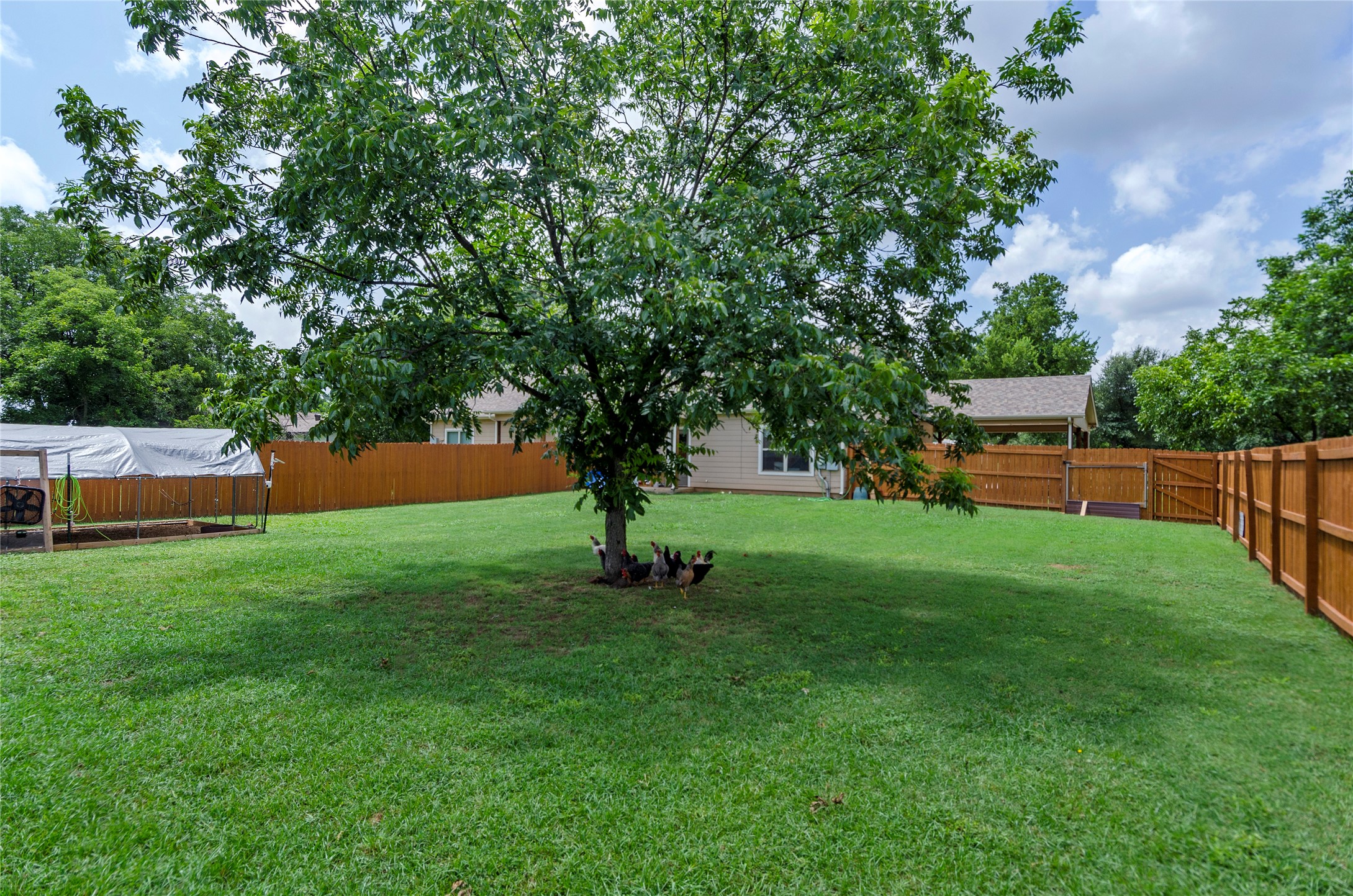 114 Ash Street Paradise TX 76073
