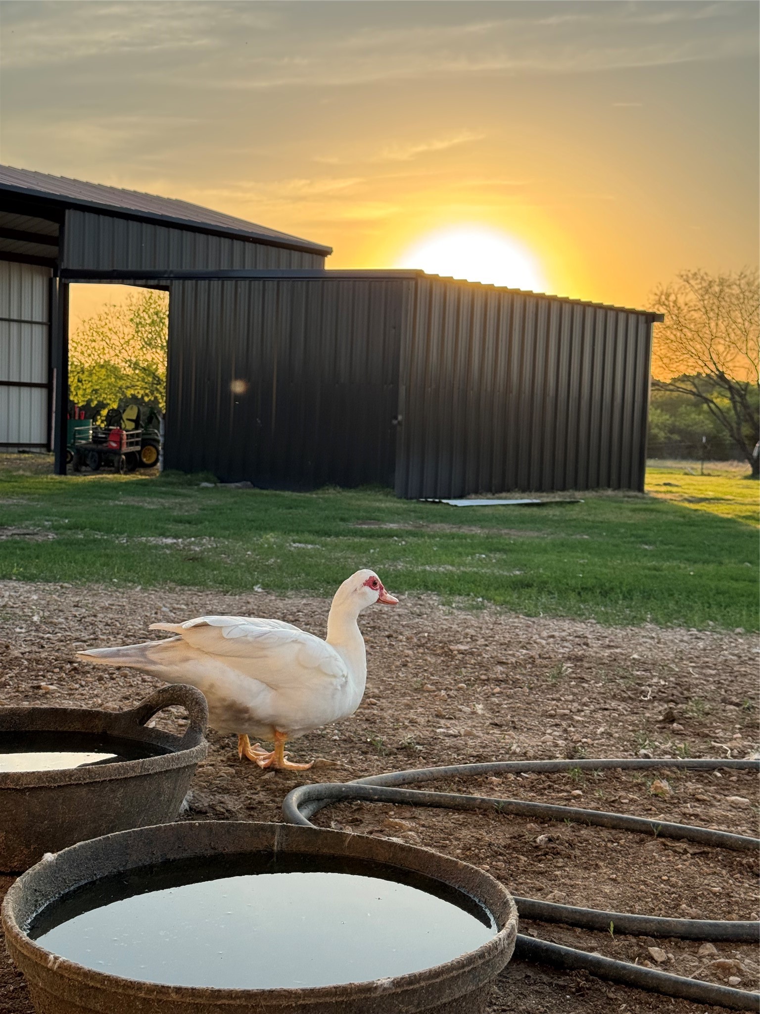 2515 County 141 Road Kaufman TX 75142