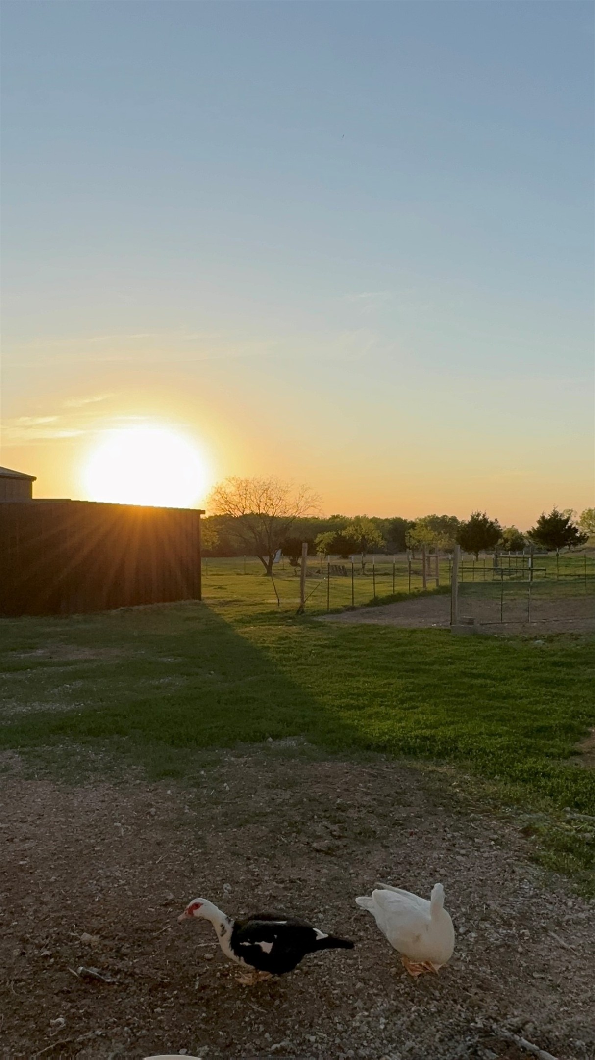 2515 County 141 Road Kaufman TX 75142