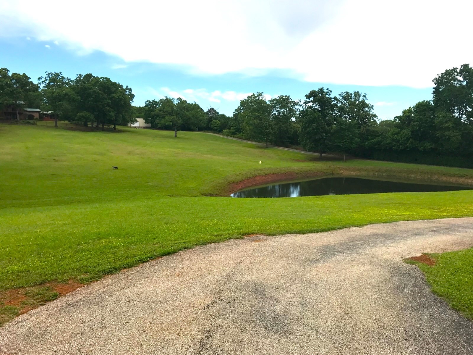 440 Vz County Road 4814 Ben Wheeler TX 75754