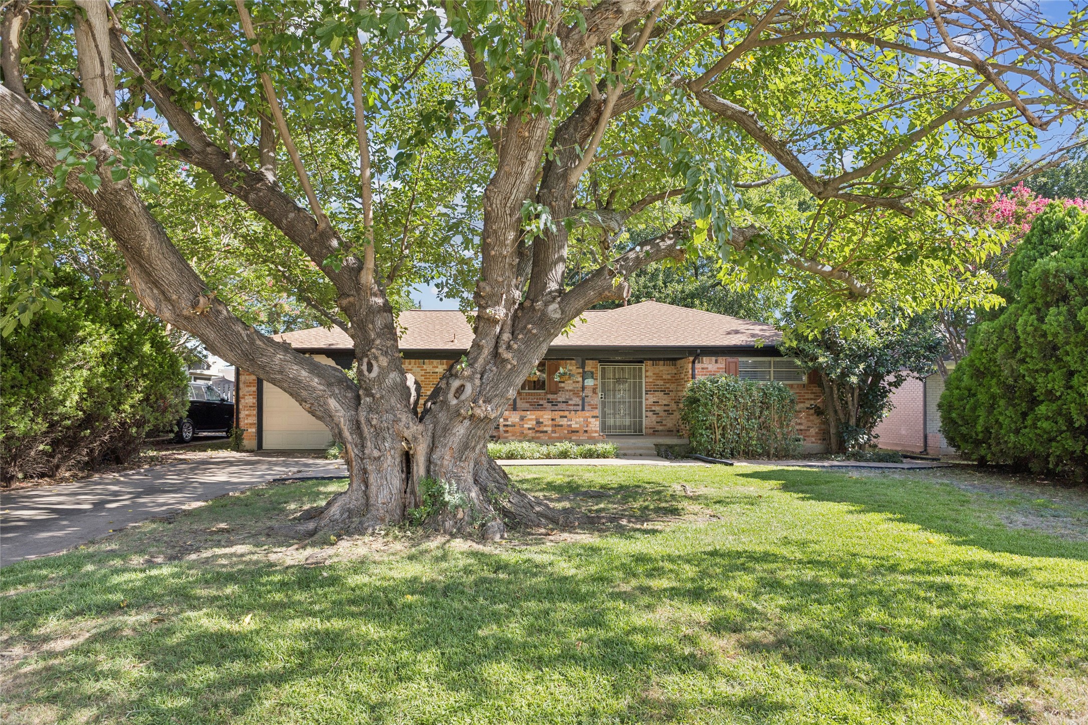 500 Ola Lane Allen TX 75013