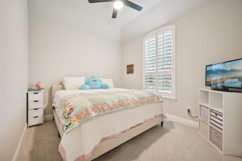 436 Gibbons Creek Trail Mckinney TX 75071