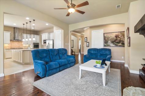 12166 Stacy Cove Frisco TX 75033