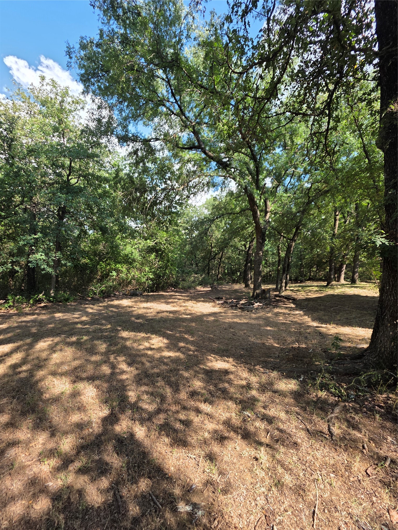 228 Hcr 2415 N Hillsboro TX 76645