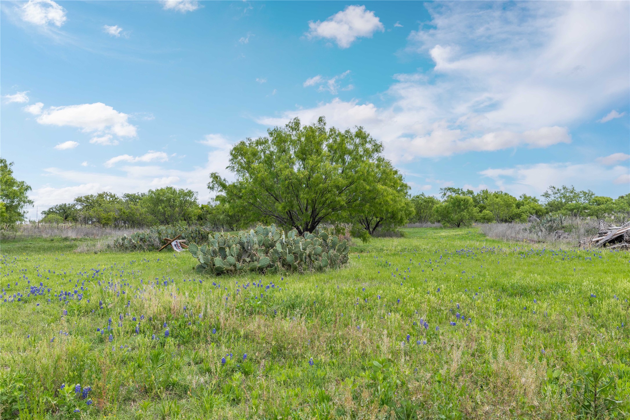 10150 Highway 67 Bangs TX 76823