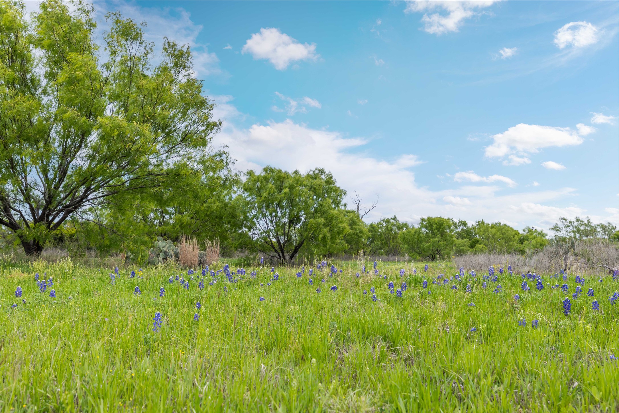 10150 Highway 67 Bangs TX 76823