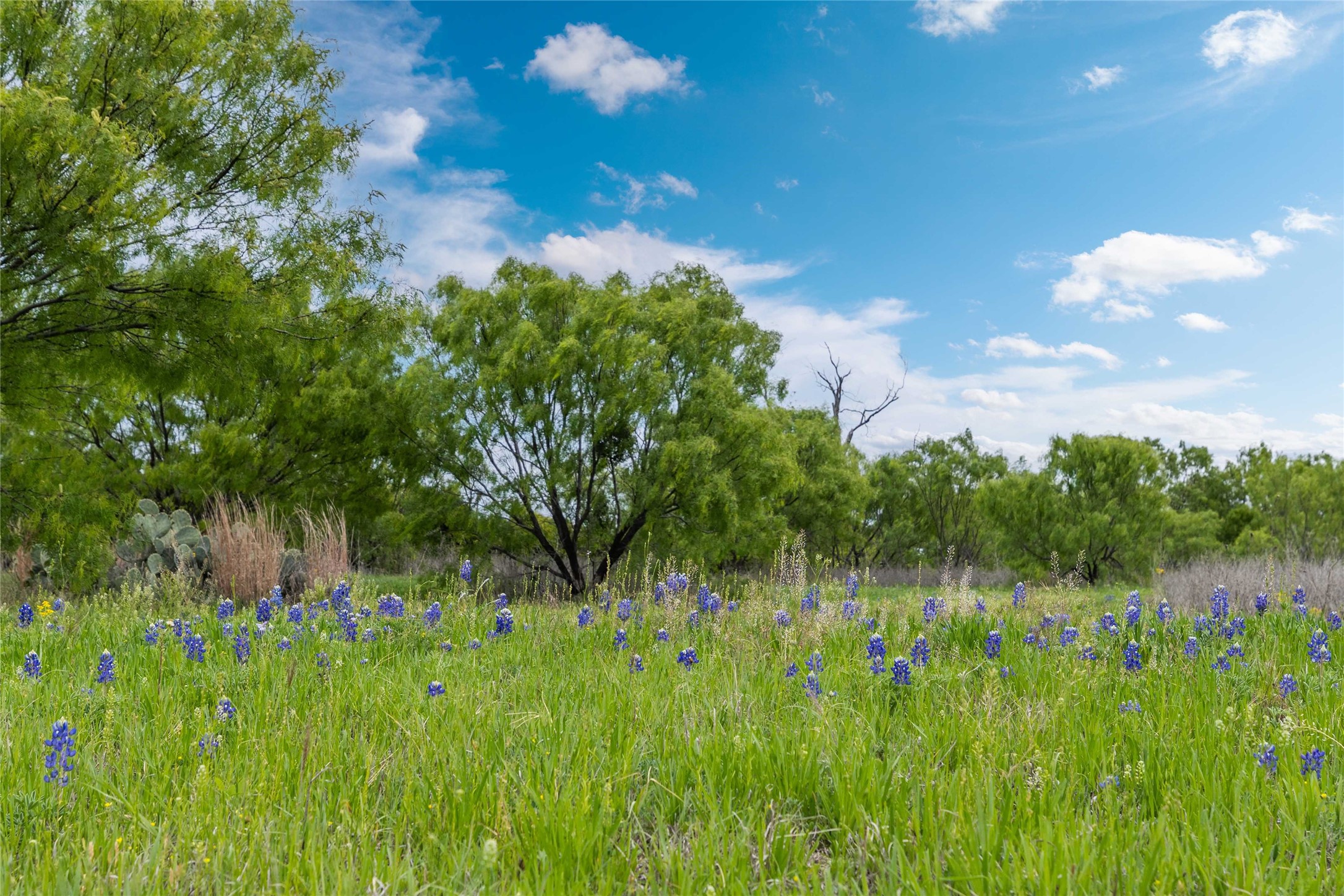 10150 Highway 67 Bangs TX 76823