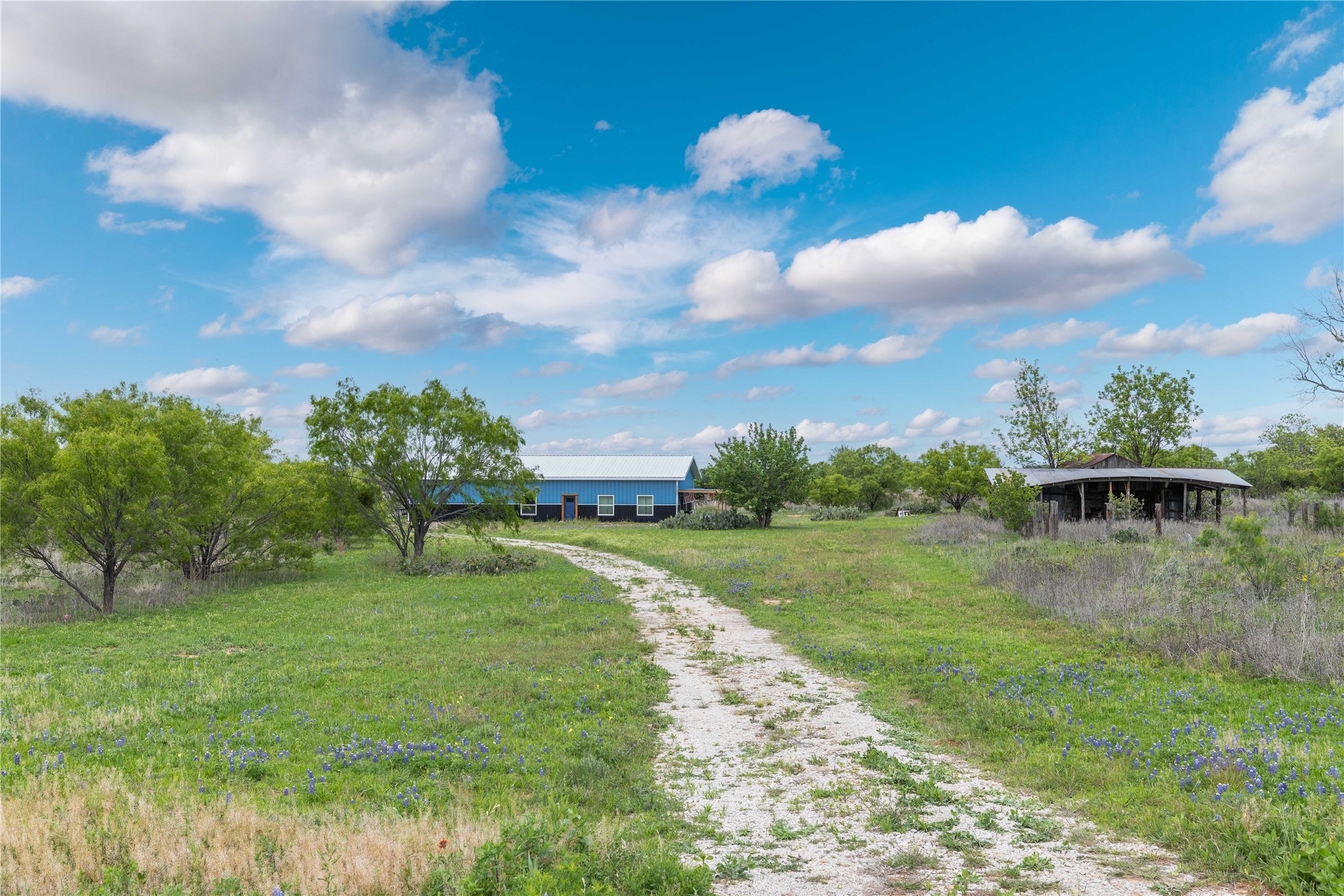 10150 Highway 67 Bangs TX 76823